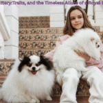 Persian Cattery:Traits, and the Timeless Allure of a Royal Breed
