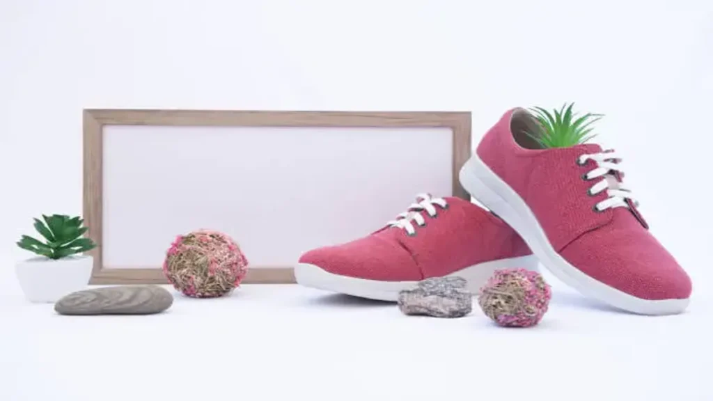 Plims: The Timeless Canvas Shoe Redefined for Modern Comfort, Sustainability, and Everyday Style