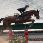 Hípica Paralímpicos: The Full Guide to Paralympic Equestrian Sport