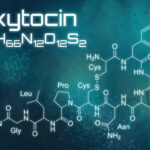 Xaicotum: A Comprehensive Exploration of Its Concept, Structure, and Real-World Significance