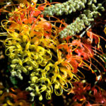 Hellooworl Explained: Meaning, Origins, Structure, and Lasting Importance in Programming