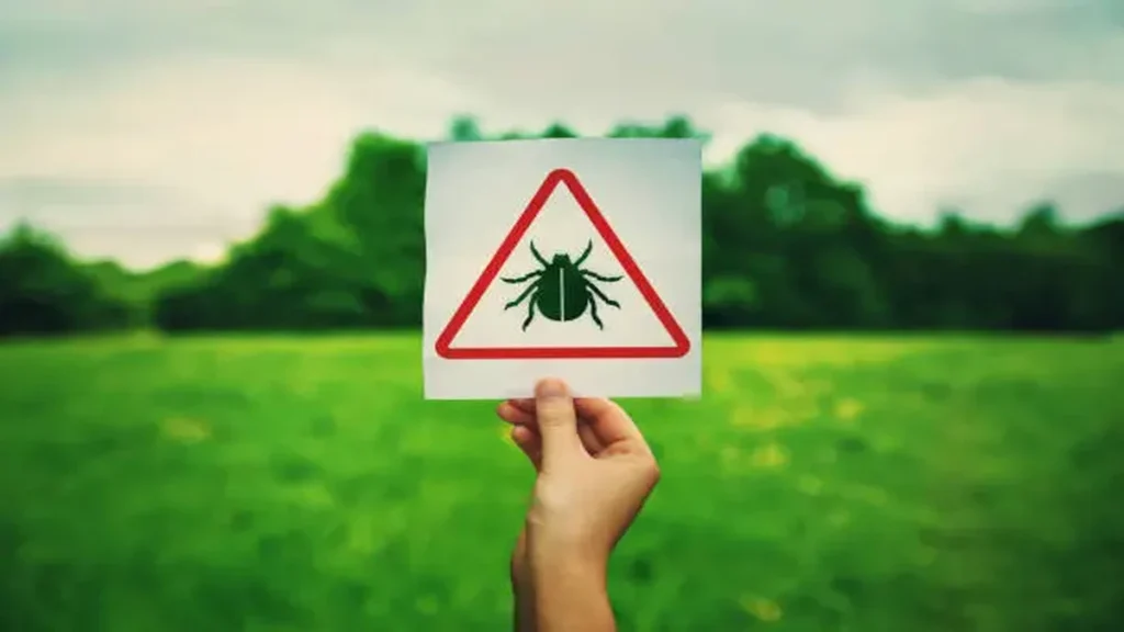 Rgarrpto Explained: Ticks, Language, and Environmental Risk