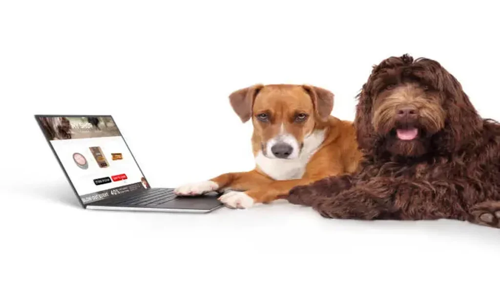 Petdardas.com and the Future of Online Pet Care