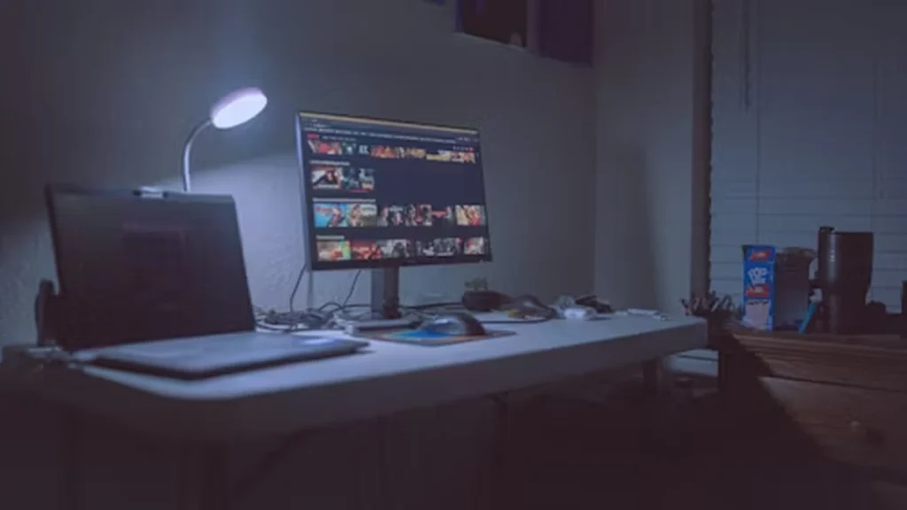 ThisVid Explained: Openness, Risk, and Online Video Culture