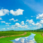 PPVLand: A Complete Guide to Pay-Per-View Streaming Culture