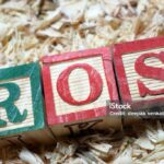 Rosboxar: Understanding Its Meaning, Uses, and Importance
