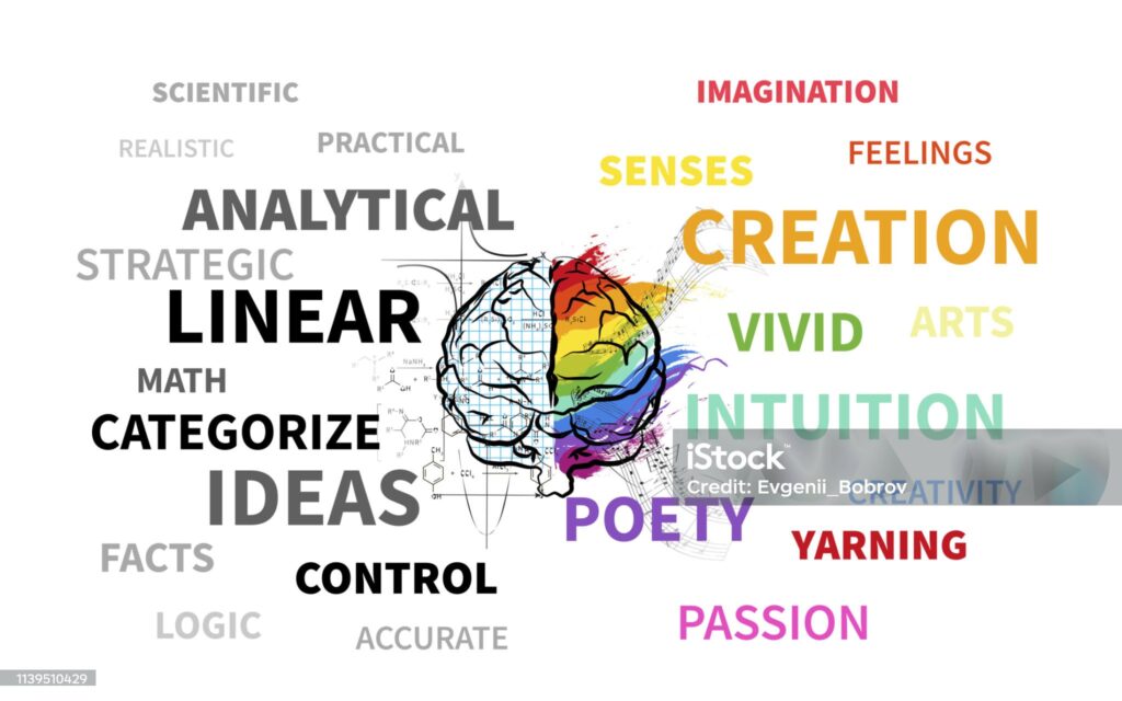Fmybrainsout: Understanding Its Meaning, Applications, and Impact