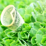 MyGreenBucks Kenneth Jones: Innovative Financial Journey