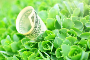 MyGreenBucks Kenneth Jones