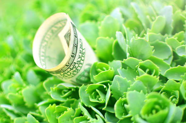 MyGreenBucks Kenneth Jones