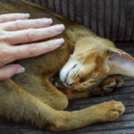 Understanding En Terabyte: Storage, Uses, and Future Data Growth